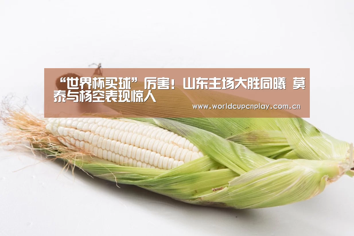 “世界杯买球”厉害!山东主场大胜同曦 莫泰与杨空表现惊人(图1) 世界杯盘口
