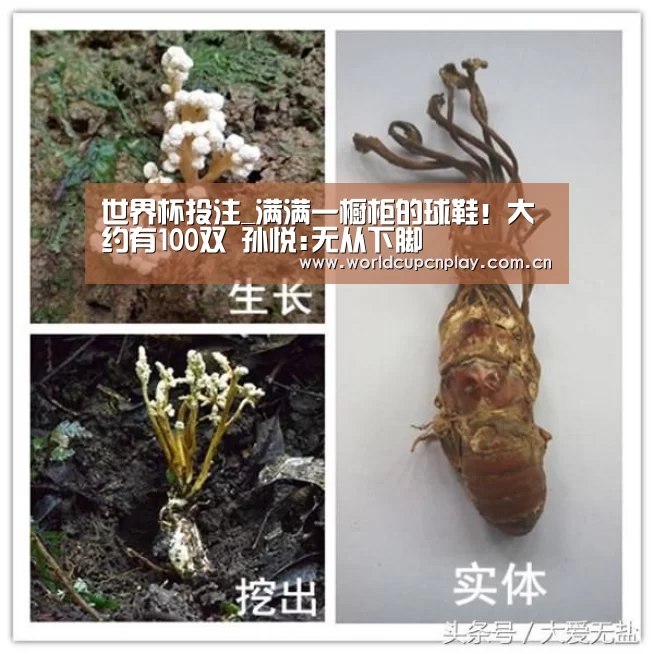 世界杯投注_满满一橱柜的球鞋!大约有100双 孙悦:无从下脚(图1) 世界杯投注