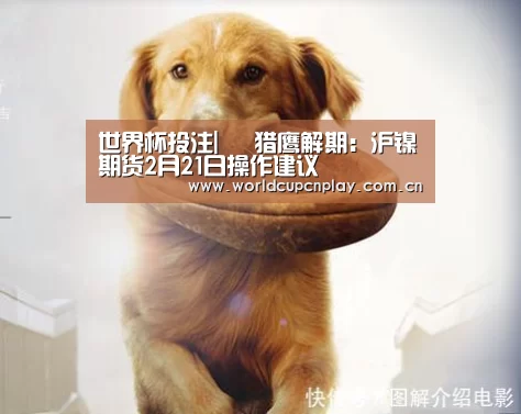 世界杯投注| 猎鹰解期:沪镍期货2月21日操作建议(图3) 竞猜攻略