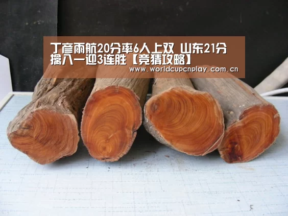 丁彦雨航20分率6人上双 山东21分擒八一迎3连胜【竞猜攻略】(图2) 世界杯盘口