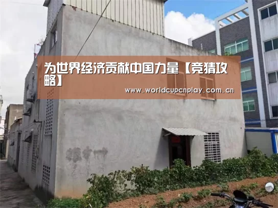 为世界经济贡献中国力量【竞猜攻略】(图2) 世界杯买球