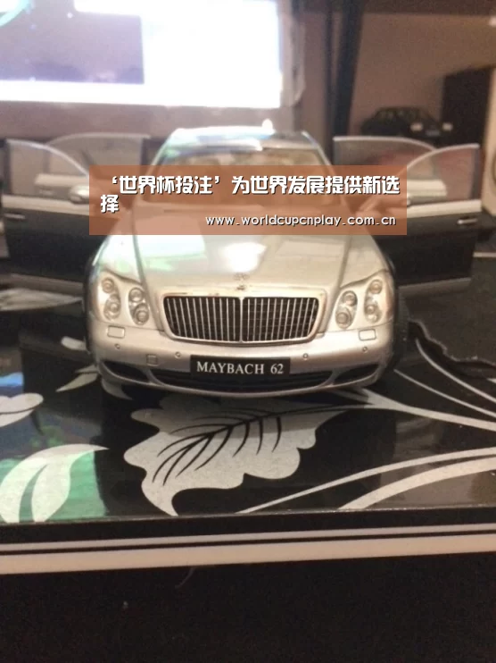 ‘世界杯投注’为世界发展提供新选择(图3) 世界杯投注