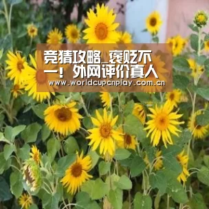 竞猜攻略_褒贬不一!外网评价真人电影《jojo的奇妙冒险》(图1) 世界杯盘口