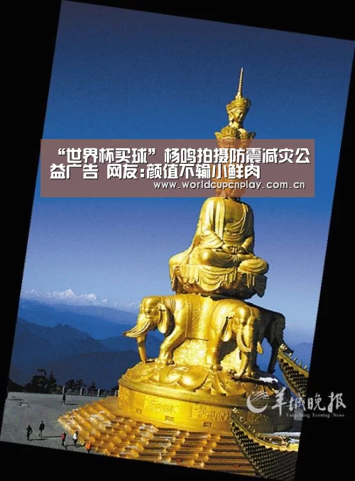 “世界杯买球”杨鸣拍摄防震减灾公益广告 网友:颜值不输小鲜肉(图1) 世界杯投注