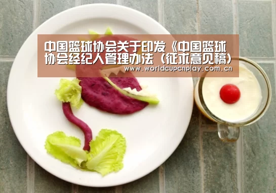 中国篮球协会关于印发《中国篮球协会经纪人管理办法(征求意见稿)》的函|世界杯买球(图2) 世界杯盘口